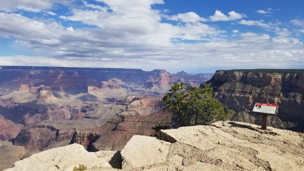 Outlook