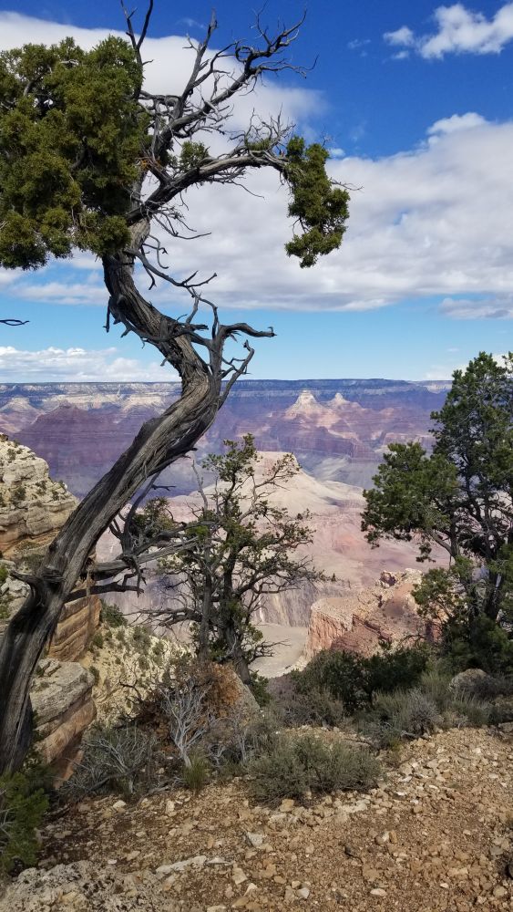 Outlook
