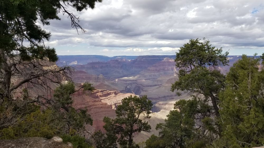 Outlook