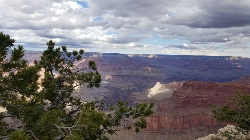 Outlook