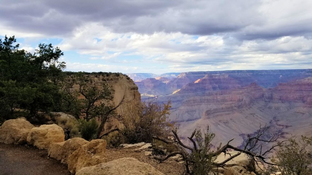 Outlook