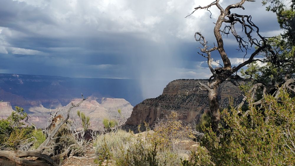 Outlook
