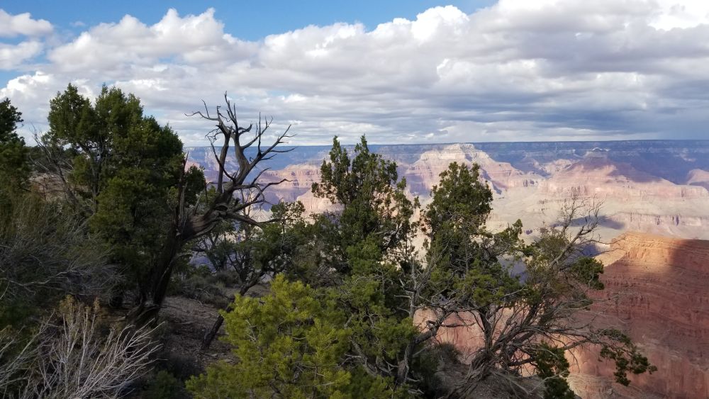 Outlook