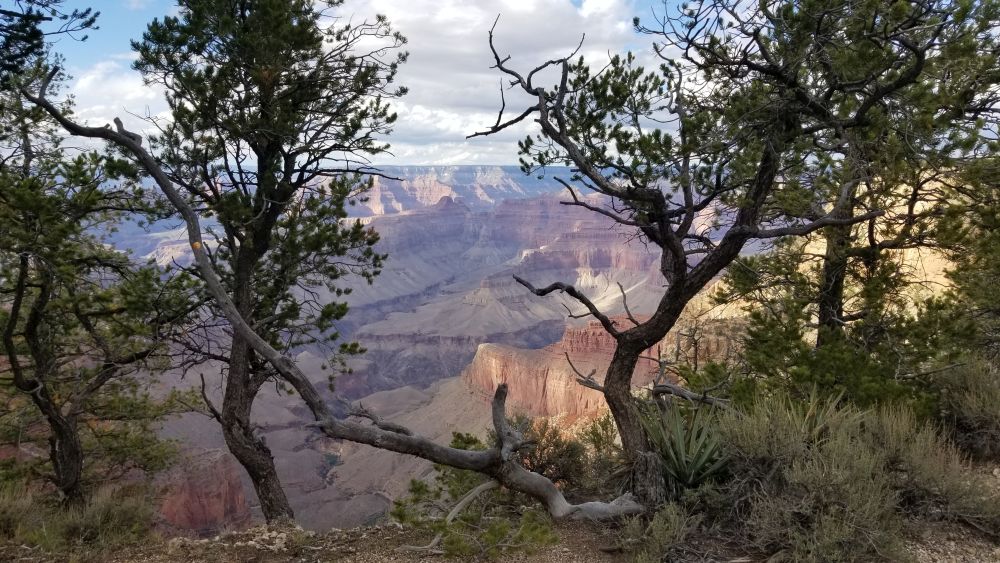 Outlook