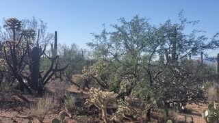 Mica Trail