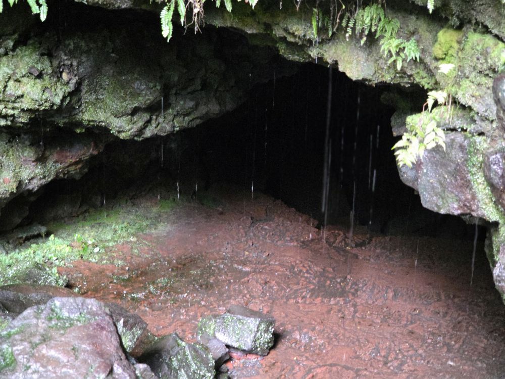 Outlook