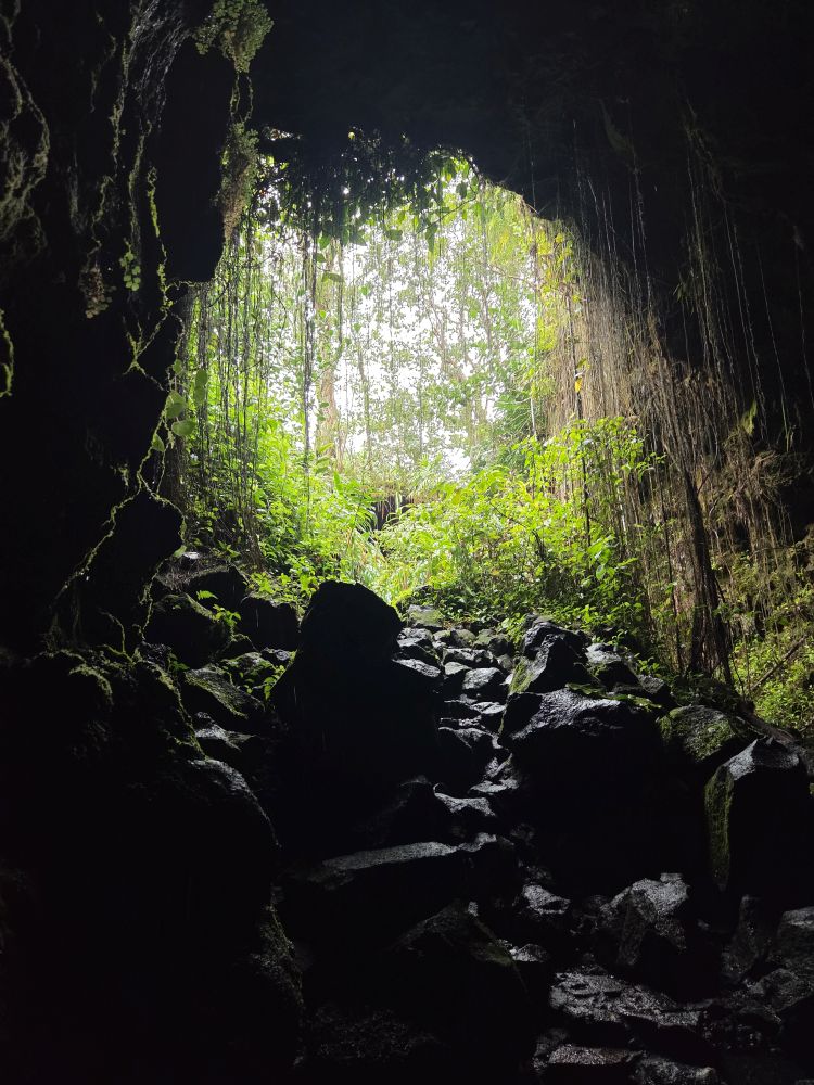 Outlook