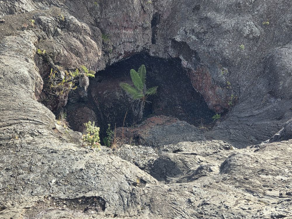 Outlook