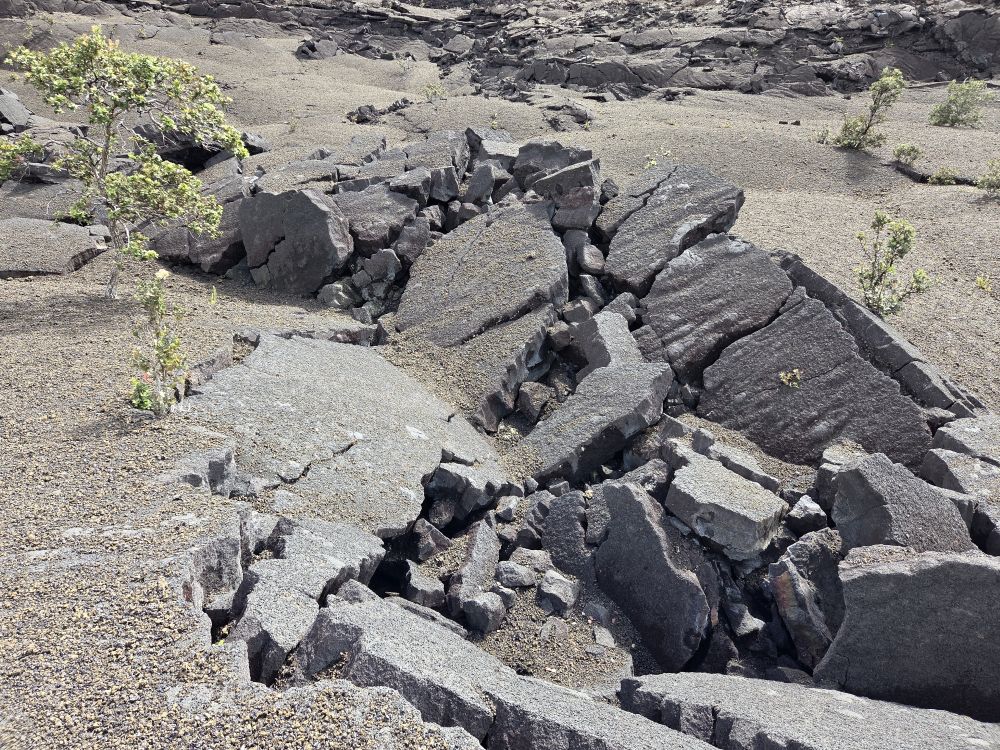 Outlook