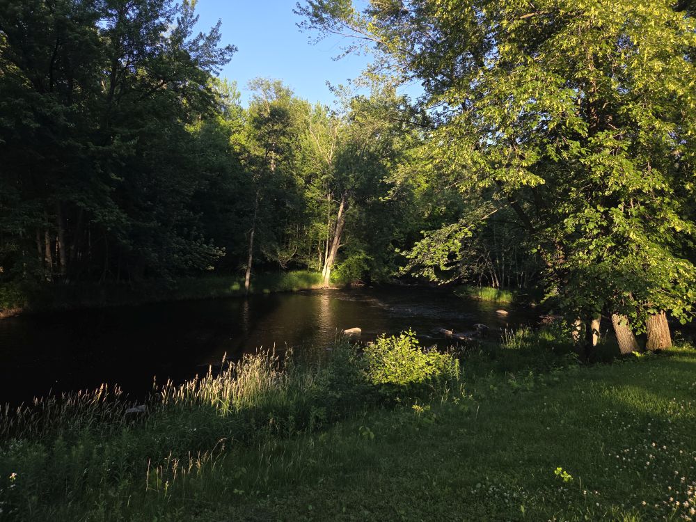 Keith and Lorri's back yard