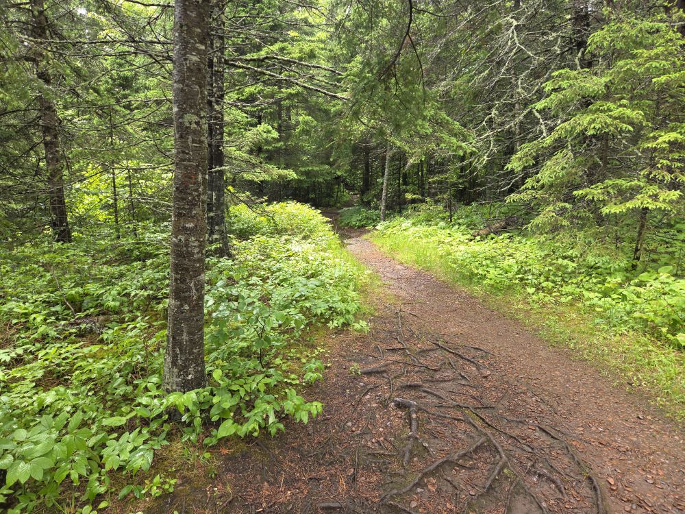 Gooseberry Falls