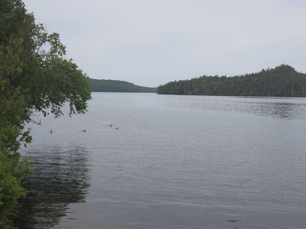 Isle Royale National Park