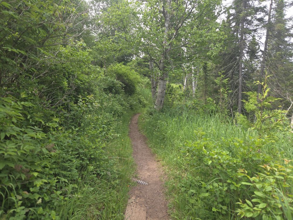 Isle Royale National Park