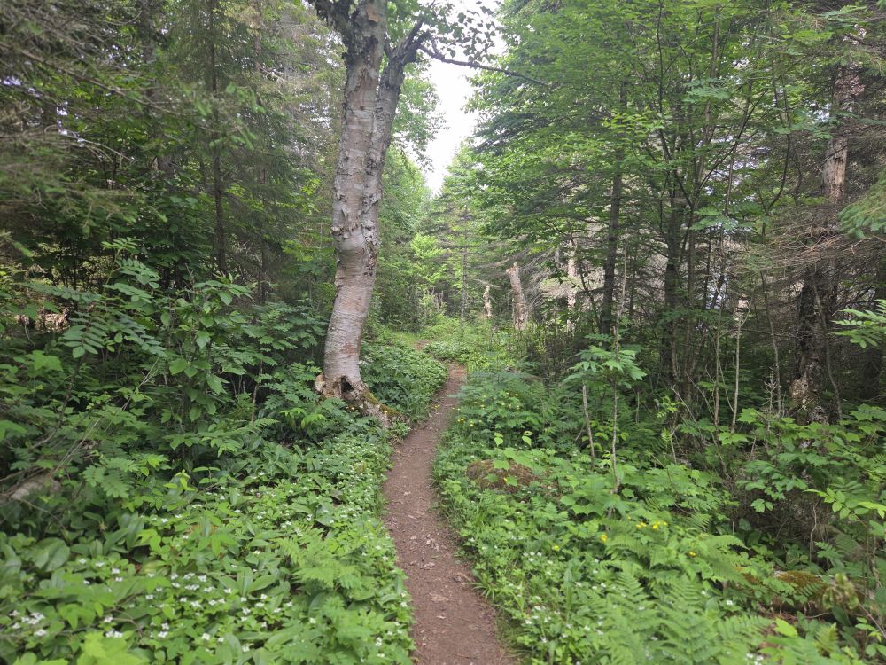 Isle Royale National Park