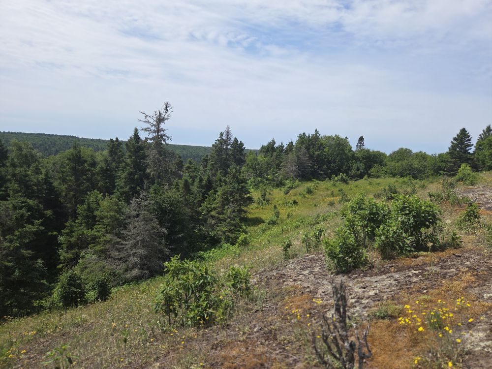 Isle Royale National Park