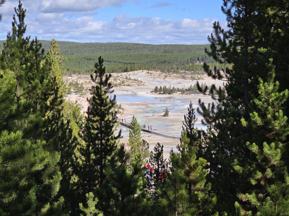 Norris Geyser Basin