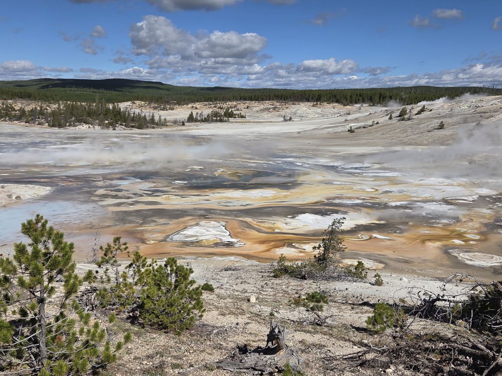 Norris Geyser Basin