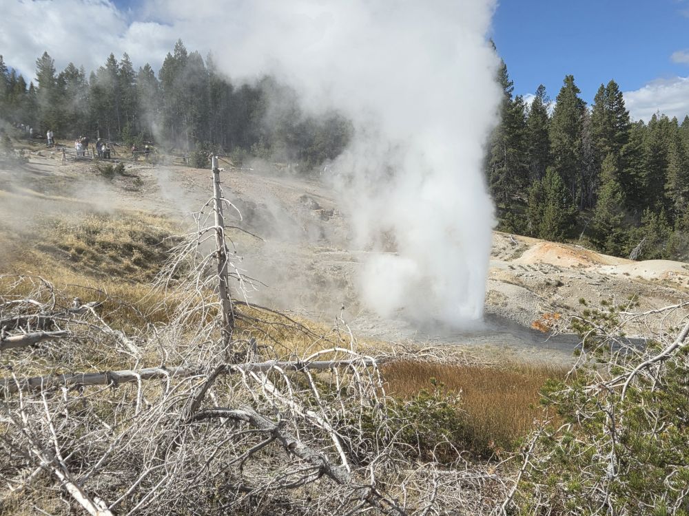 Norris Geyser Basin