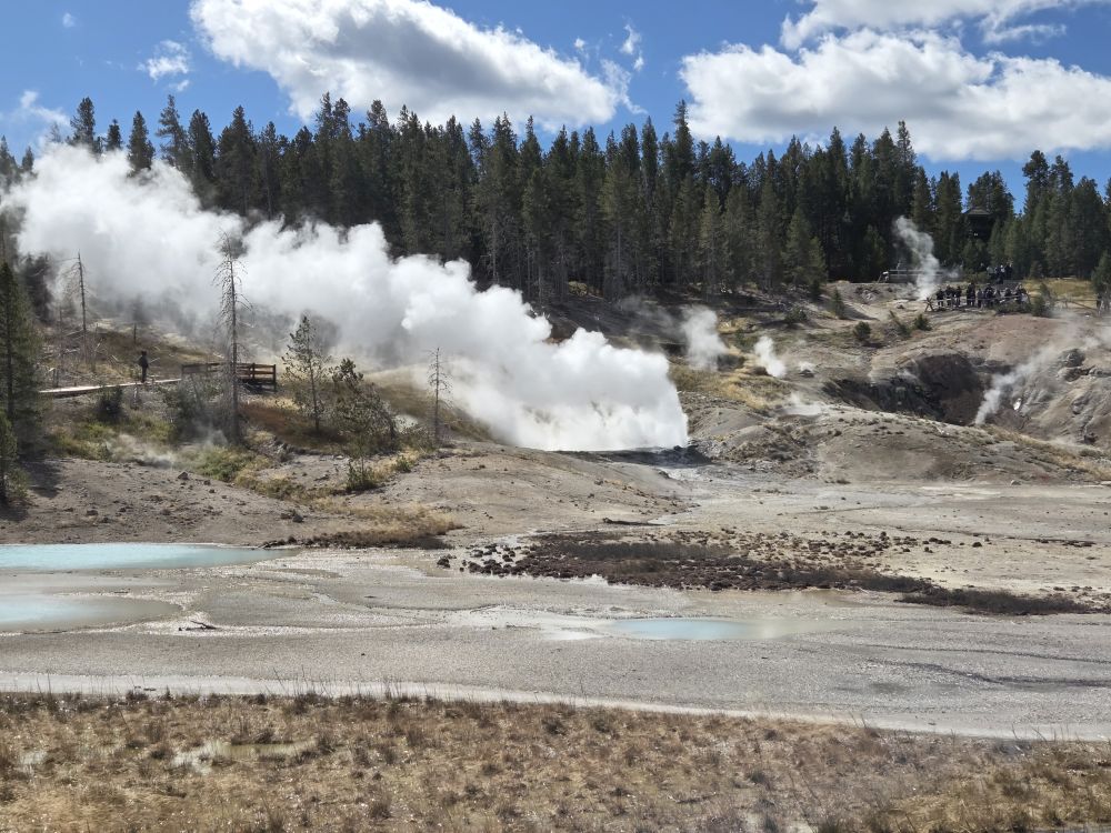 Norris Geyser Basin