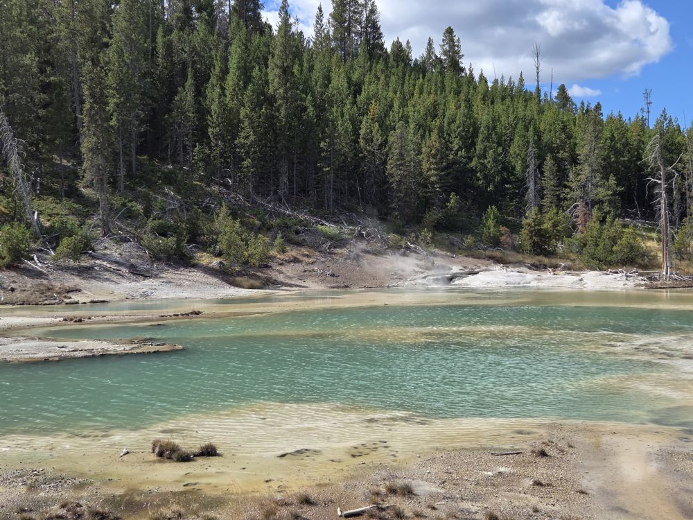 Norris Geyser Basin