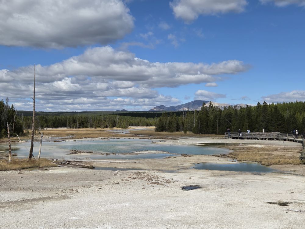 Norris Geyser Basin