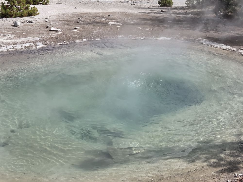 Norris Geyser Basin