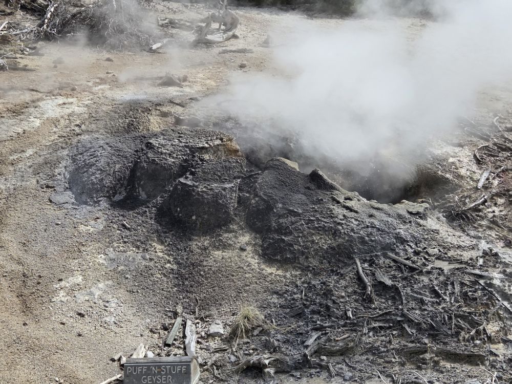 Norris Geyser Basin