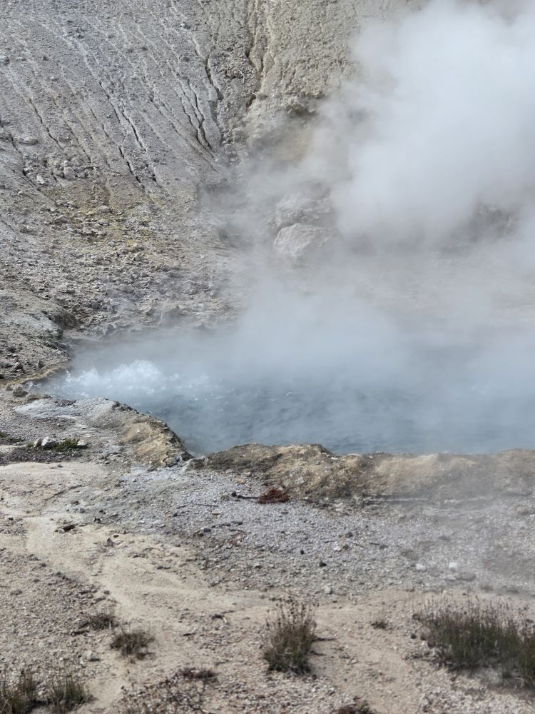 Steam Vent
