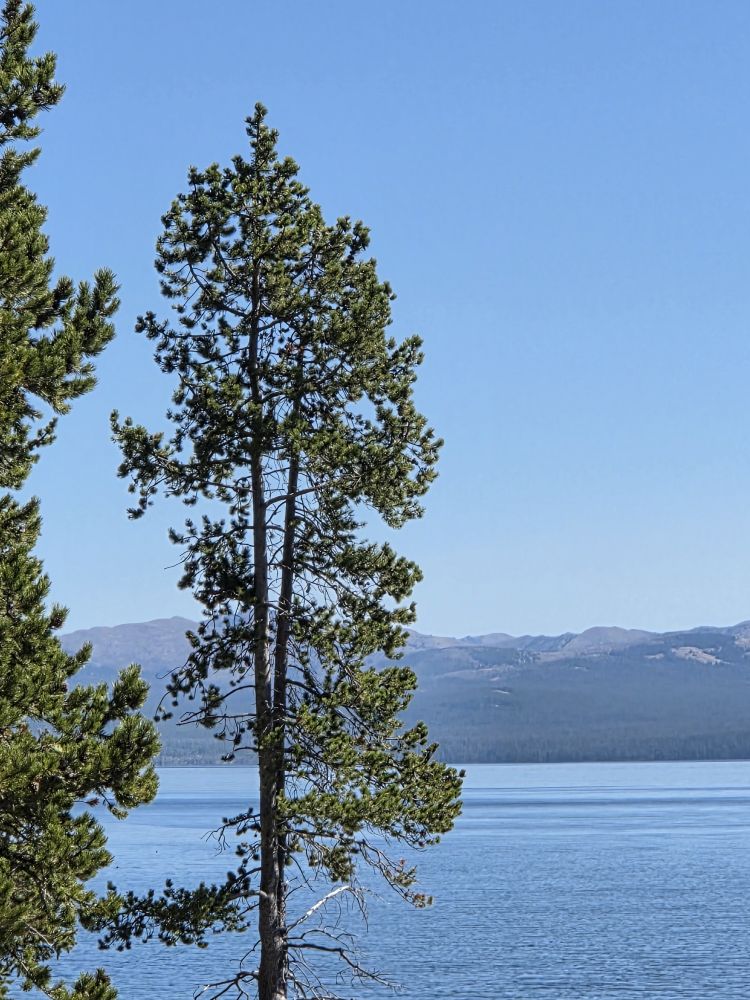 Yellowstone Lake