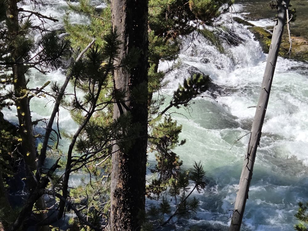 Canyon South Rim Falls Hike