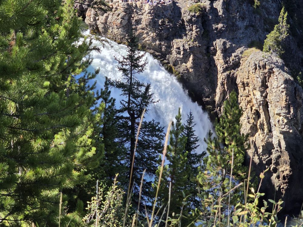 Canyon South Rim Falls Hike