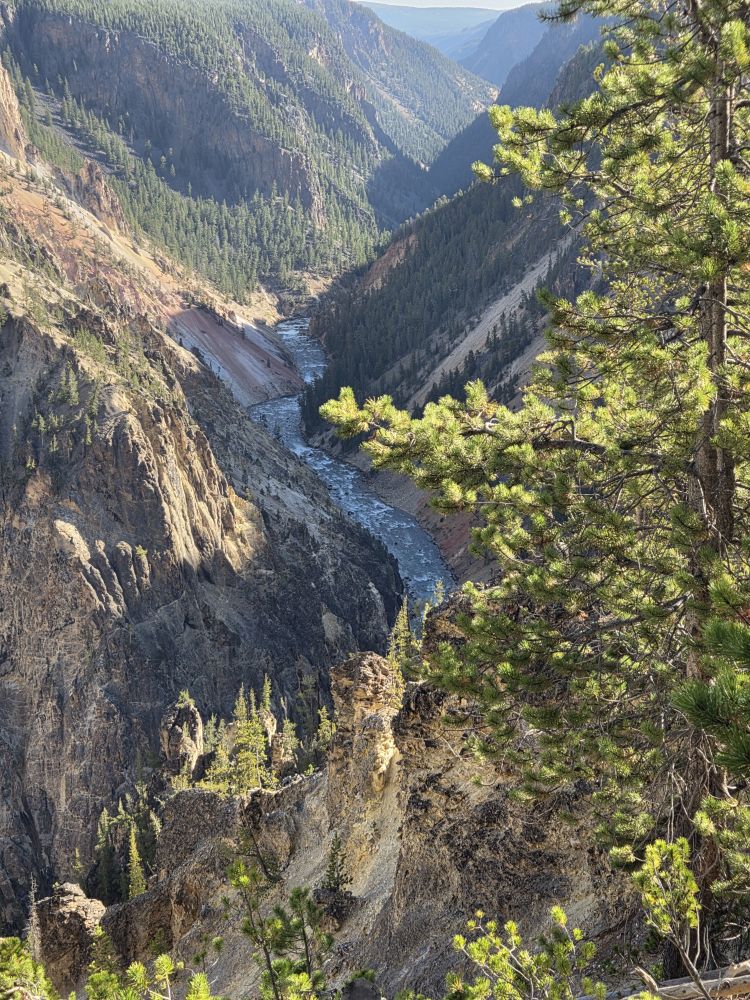 Point Sublime Hike